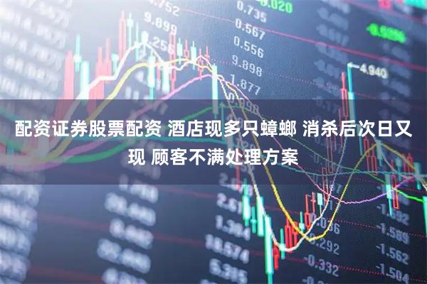 配资证券股票配资 酒店现多只蟑螂 消杀后次日又现 顾客不满处理方案